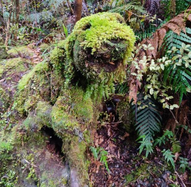 Beautiful Nature (20 pics) Beautiful Nature (20 pics)