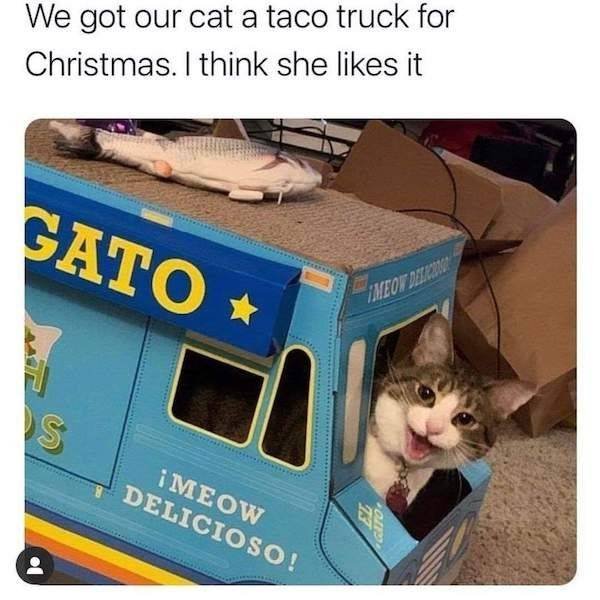 Wholesome Stories (63 pics)