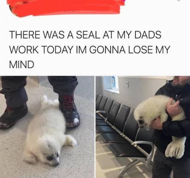 Wholesome Stories (63 pics)