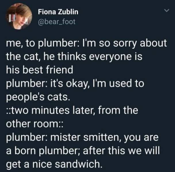 Wholesome Stories (63 pics)