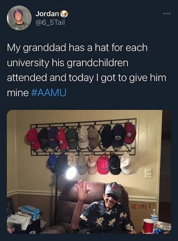 Wholesome Stories (63 pics)