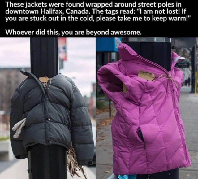 Wholesome Stories (63 pics)