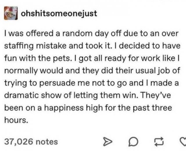 Wholesome Stories (63 pics)