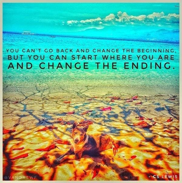 Pictures For Your Motivation (25 pics)