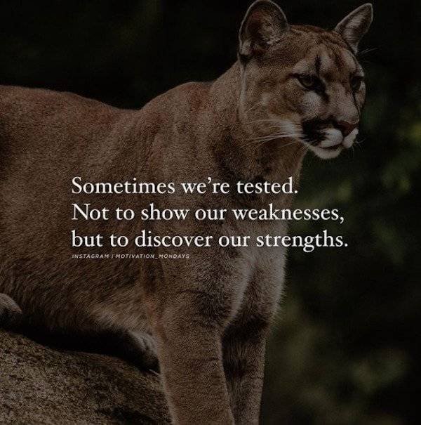 Pictures For Your Motivation (25 pics)