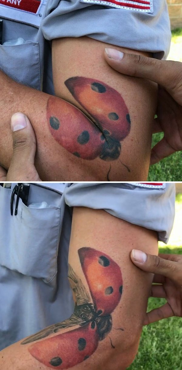 Moving Tattoos (36 pics)