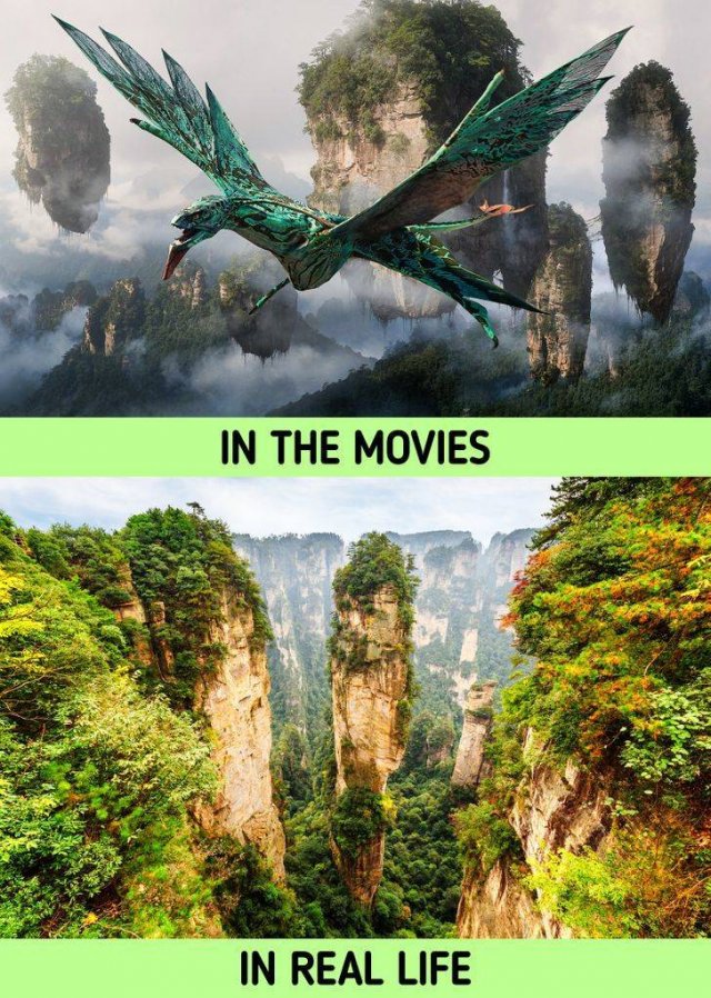 Things In Movies And In Real Life (20 pics) Things In Movies And In Real Life (20 pics)