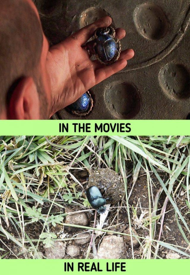 Things In Movies And In Real Life (20 pics) Things In Movies And In Real Life (20 pics)