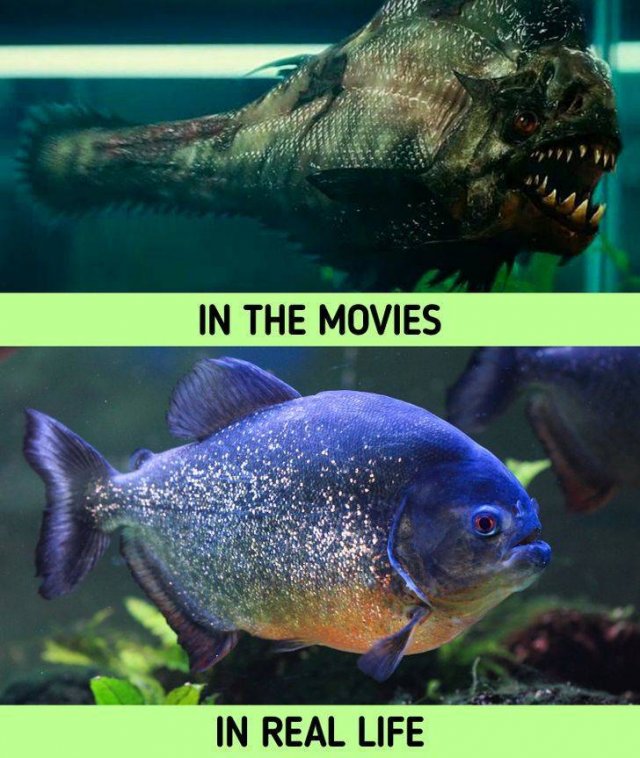 Things In Movies And In Real Life (20 pics) Things In Movies And In Real Life (20 pics)