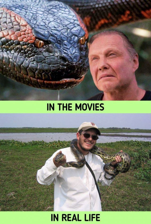 Things In Movies And In Real Life (20 pics) Things In Movies And In Real Life (20 pics)
