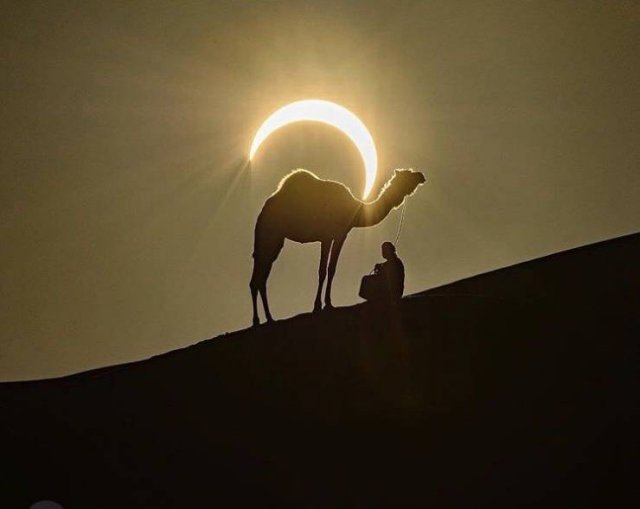 Acid Picdump 2 (89 pics)