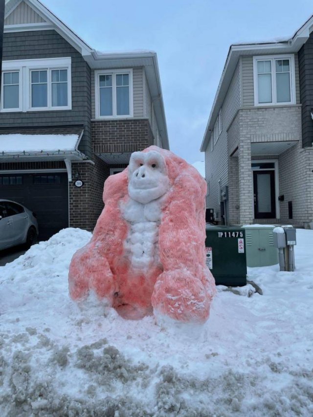 Acid Picdump 2 (89 pics)