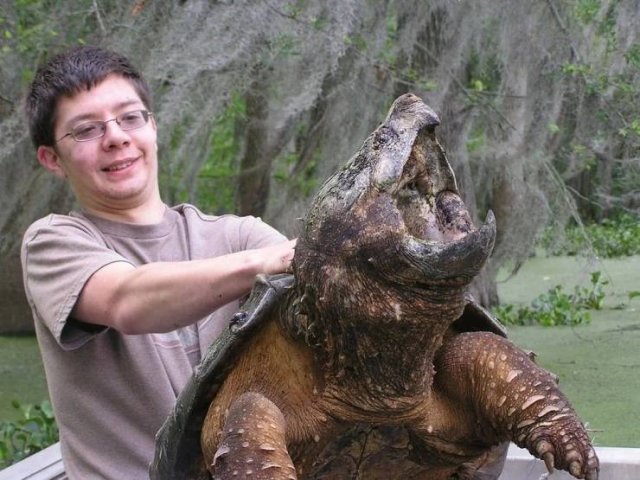 Acid Picdump 2 (89 pics)