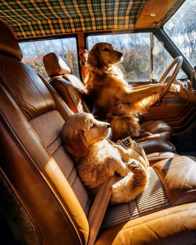Acid Picdump 2 (89 pics)