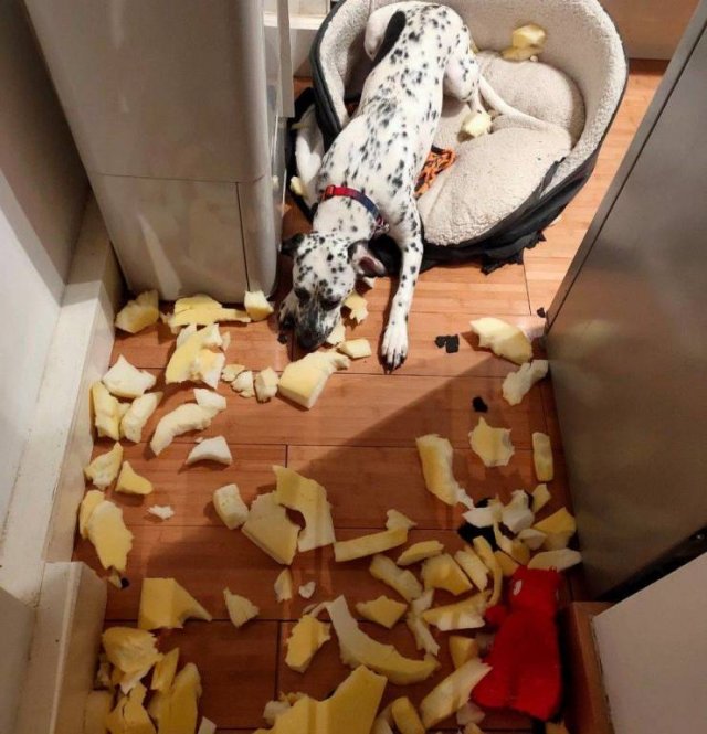 Acid Picdump 2 (89 pics)