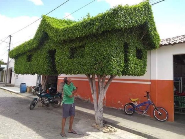 Acid Picdump 2 (89 pics)