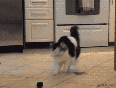 Acid Gifdump, January 19 (25 gifs)