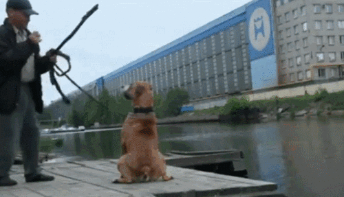 Acid Gifdump, January 19 (25 gifs)