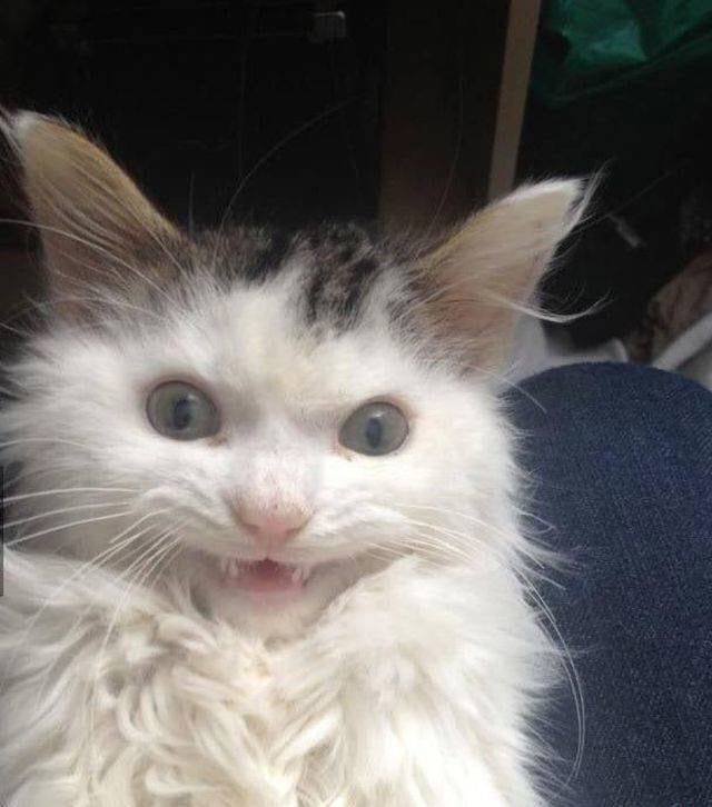 Acid Picdump 2 (89 pics)