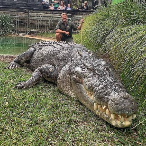 Acid Picdump 2 (89 pics)