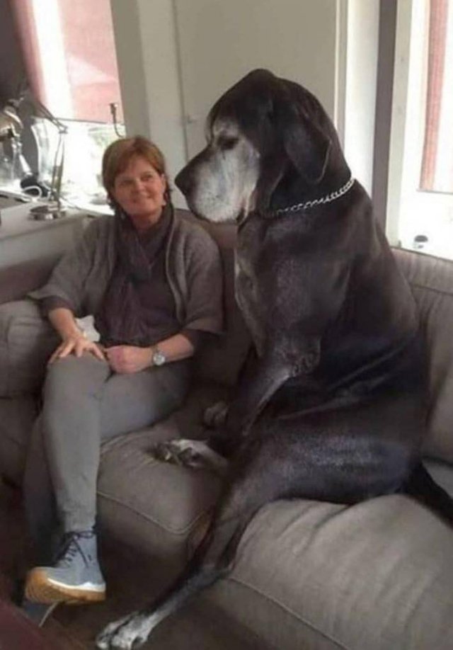 Acid Picdump 2 (89 pics)