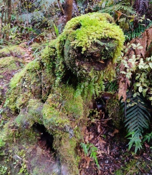Awesome Photos (41 pics)