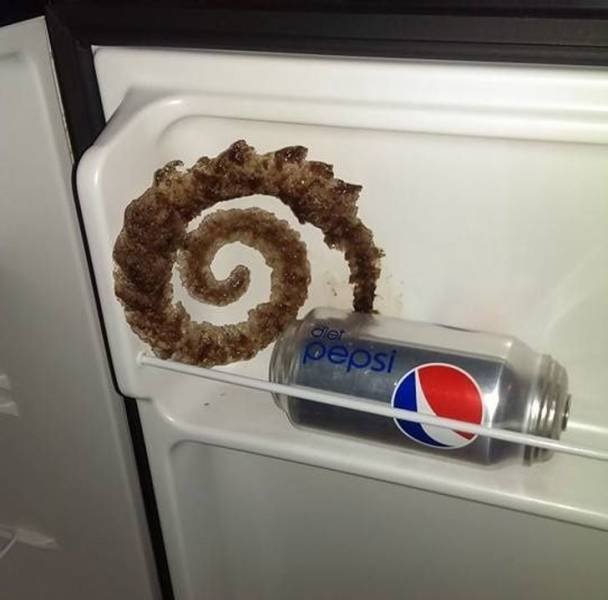 Awesome Photos (41 pics)