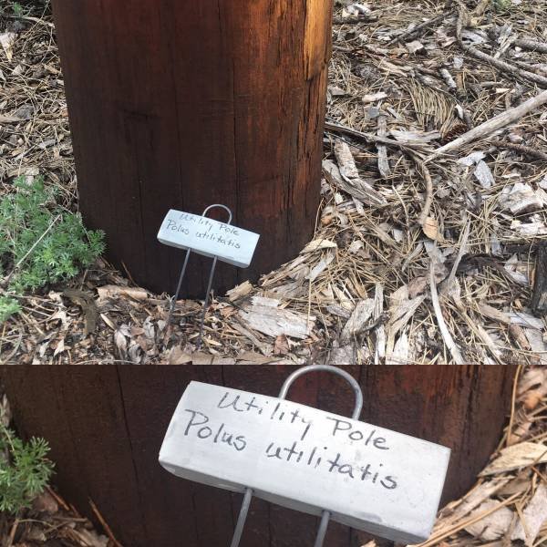 Easter Eggs In Real Life (19 pics)
