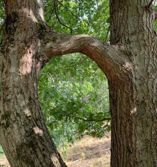 Awesome Photos (41 pics)