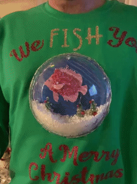 Family Humor (18 pics)