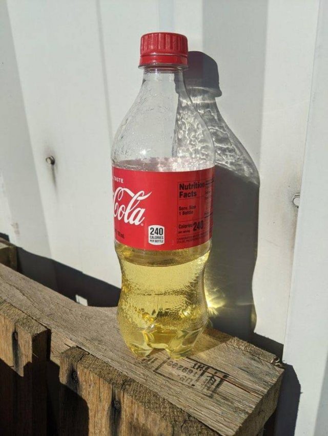 Awesome Photos (41 pics)