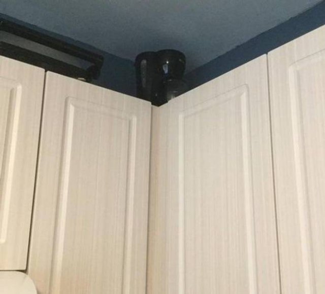 Family Humor (18 pics)