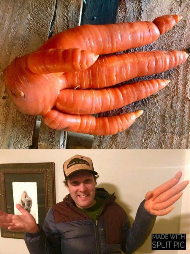 Awesome Photos (41 pics)