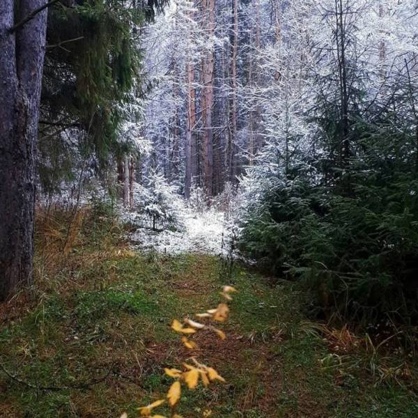 Awesome Photos (41 pics)