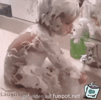 Acid Gifdump, January 20 (25 gifs)