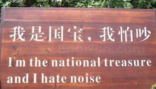 Hilarious Translation Fails (26 pics)