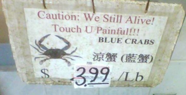 Hilarious Translation Fails (26 pics)