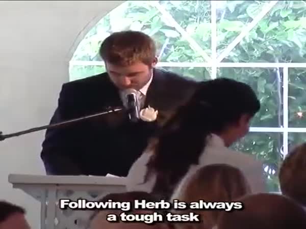 Guy's Speech To His Brother's Wedding