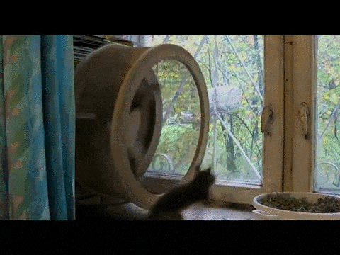 Acid Gifdump, January 22 (25 gifs)