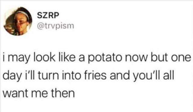 Funny Tweets (42 pics)