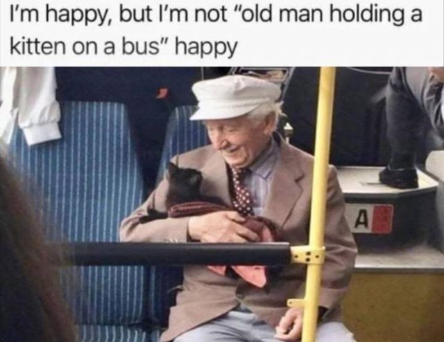 Random Funny Memes (65 pics)