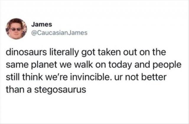 Funny Tweets (42 pics)