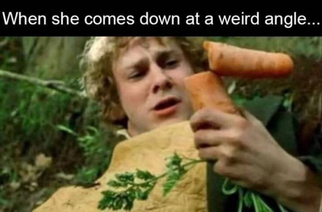 Random Funny Memes (65 pics)