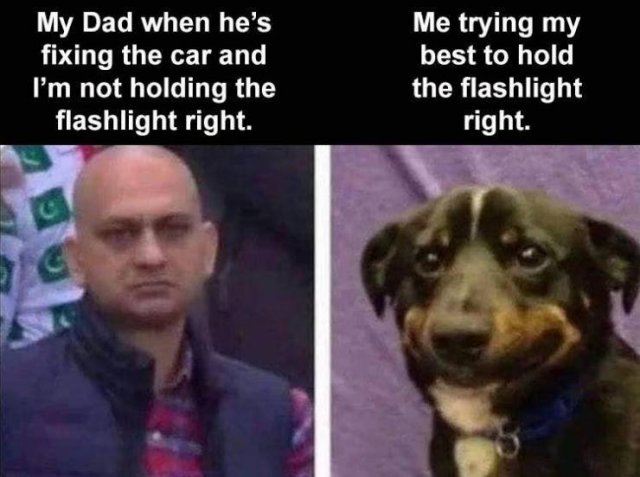 Random Funny Memes (65 pics)