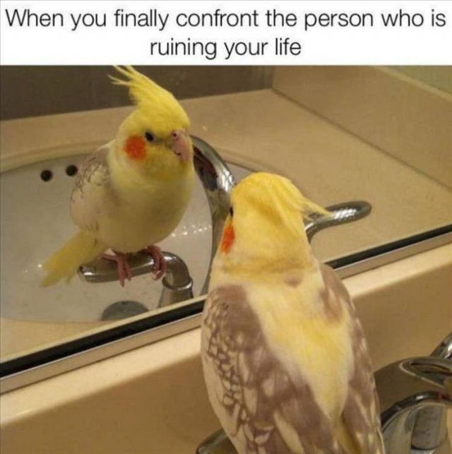 Random Funny Memes (65 pics)