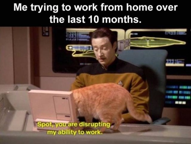 Random Funny Memes (65 pics)
