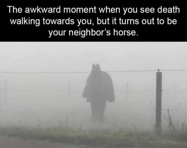 Random Funny Memes (65 pics)