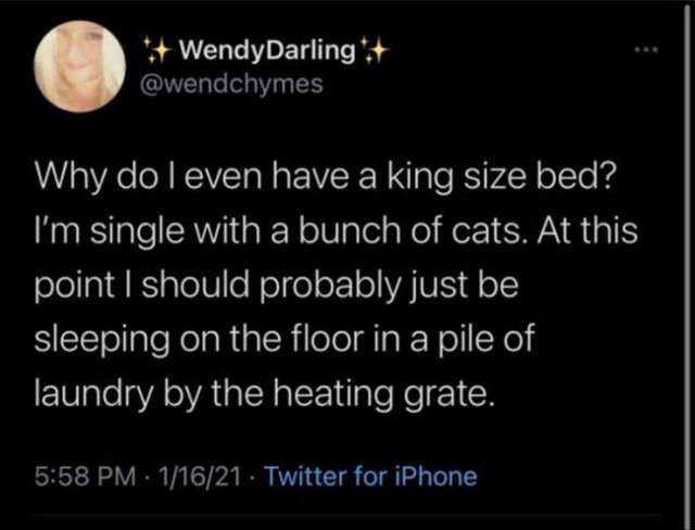 Funny Tweets (42 pics)