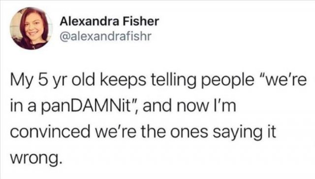 Funny Tweets (42 pics)