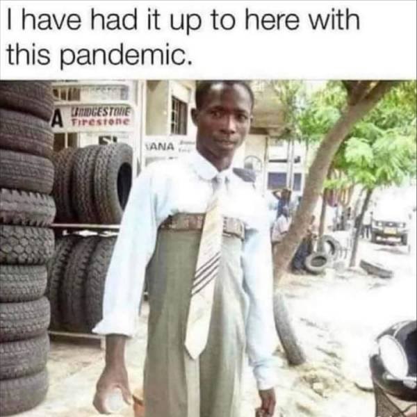 Random Funny Memes (65 pics)